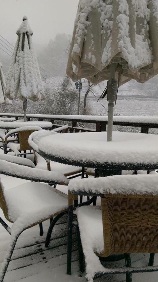 北橫之星 Taoyuan Dış mekan fotoğraf